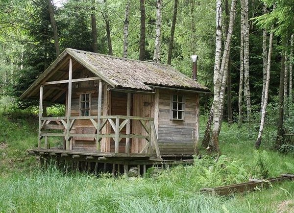 Vivez une Aventure Inoubliable : Dormir dans une Cabane dans les Arbres en Famille